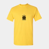 Heavy Cotton™ adult t-shirt Thumbnail