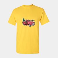 Heavy Cotton™ adult t-shirt Thumbnail